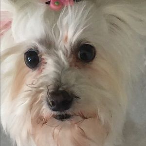 Meet your Posher, Karina